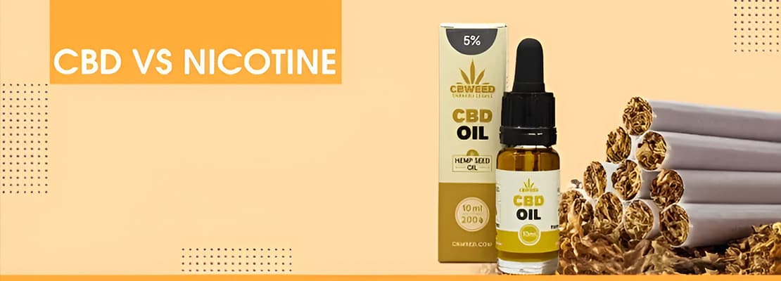 CBD vs Nicotine: A Comprehensive Comparison