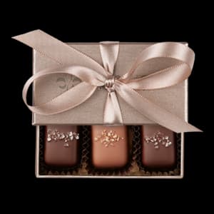 Favor Boxes