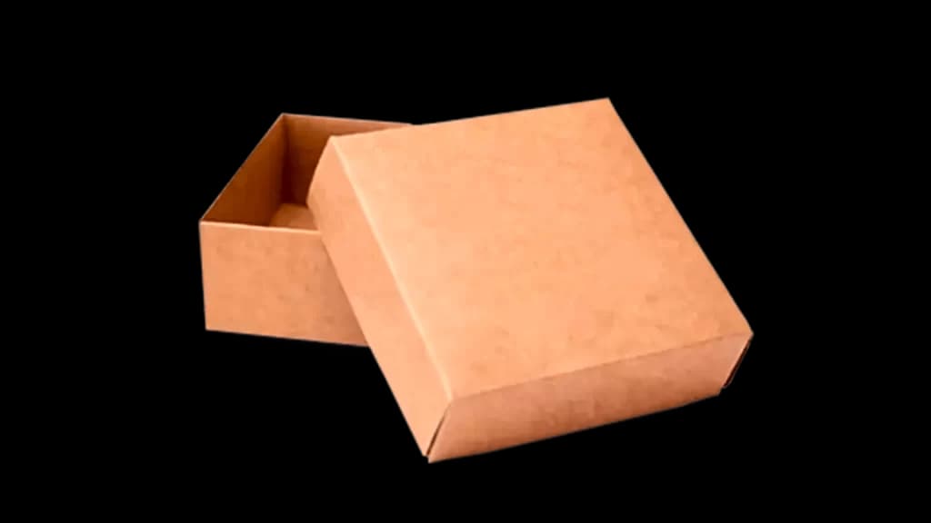 Kraft Boxes
