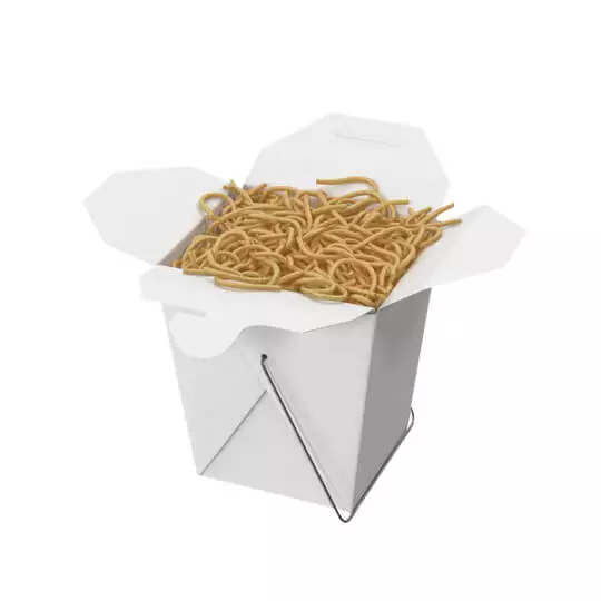 Noodle Boxes
