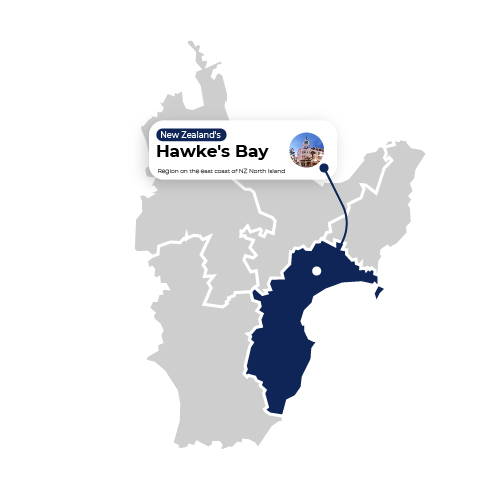 Map Illustration Hawke's Bay