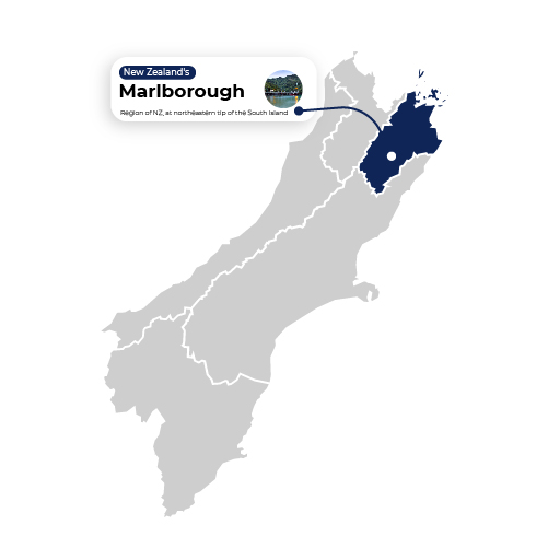 Map Illustration Marlborough