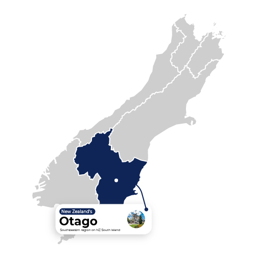 Map Illustration Otago