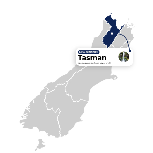 Map Illustration Tasman