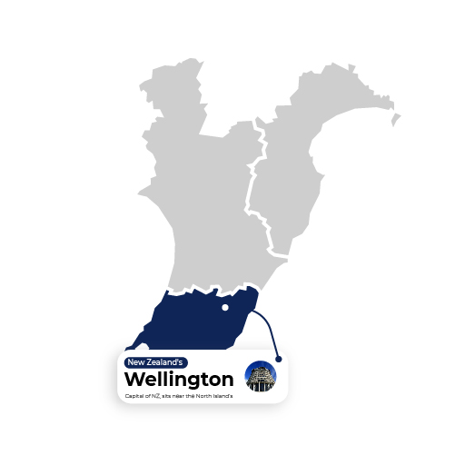 Map Illustration Wellington