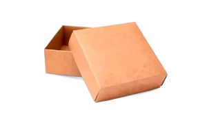 Custom Kraft Boxes