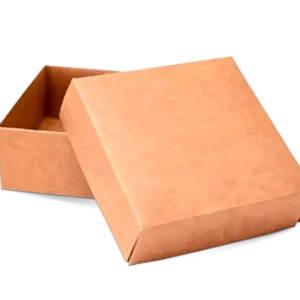 Custom Kraft Boxes